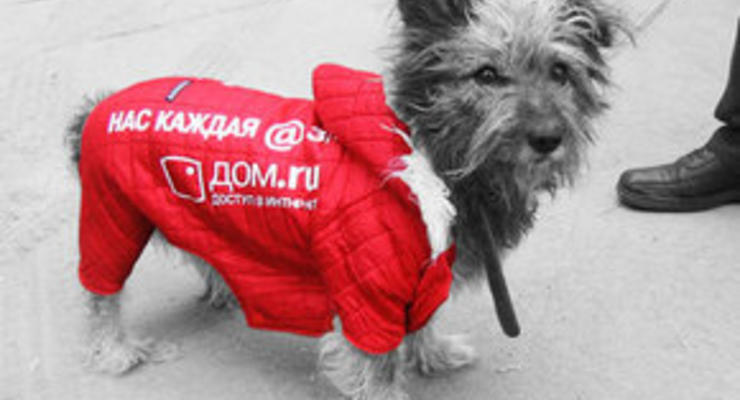 В Новосибирске рекламу разместят на собаках