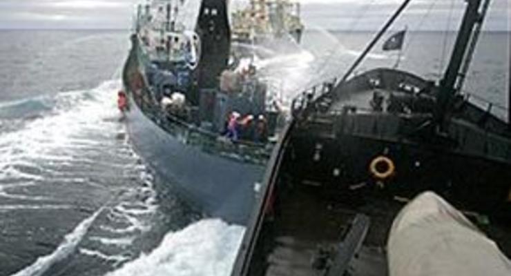 В Антарктике судно экологов протаранило японский китобой