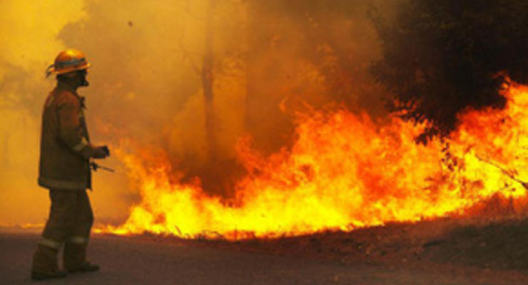 В австралийском штате Виктория из-за лесных пожаров погибли 14 человек