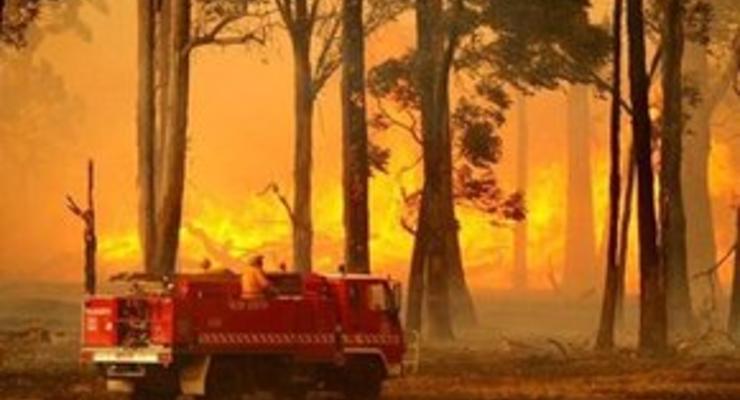 Австралия в огне: число жертв быстро растет