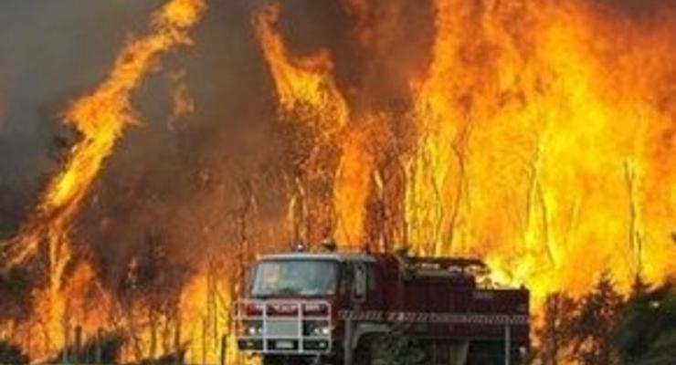 Жертвами лесных пожаров в Австралии стали 108 человек