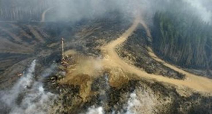 Жертвами лесных пожаров в Австралии стал 181 человек