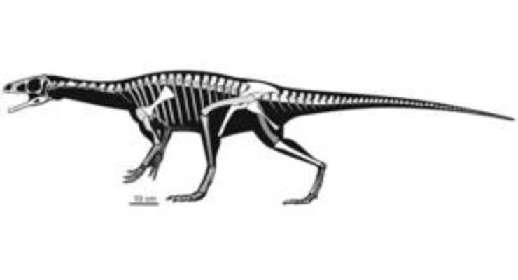 В Аргентине обнаружены останки ранее неизвестного динозавра