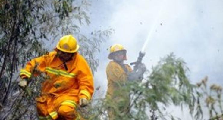 Жертвами лесных пожаров в Австралии стали 209 человек