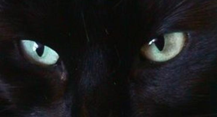 У китайского мальчика-кота в темноте светятся глаза