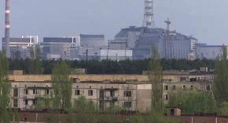 Подопечные Карпачевой застрелили лосенка в Чернобыльской зоне