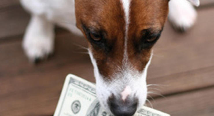 Американка просит Минфин обменять побывавшие в желудке собаки $400