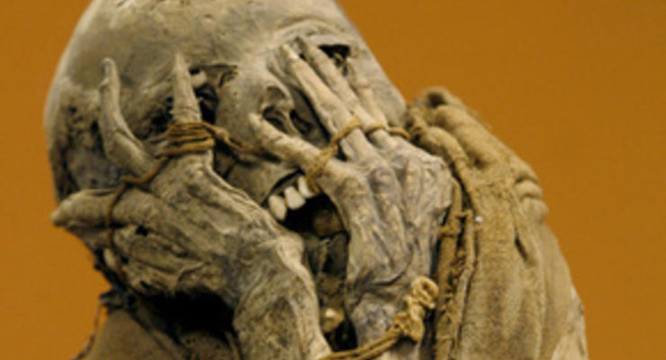 В Москве нашли еще одну мумию пенсионерки
