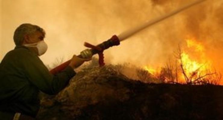 В Херсонской области сгорело более 30 гектаров леса