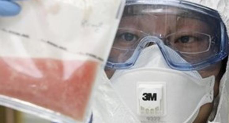 Эксперты: симптомы свиного гриппа сложно отличить от обычного
