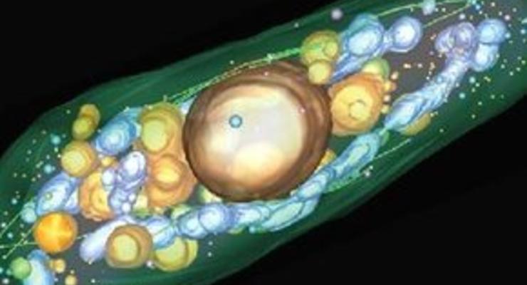 Ученые США создали наноиглы для проникновения в живые клетки
