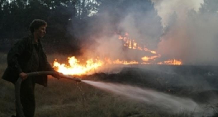 В Житомирской области пожар охватил тысячу гектаров леса