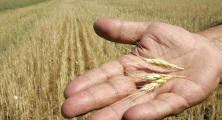 В прошлом маркетинговом году Украина экспортировала 16,25 млн т зерна