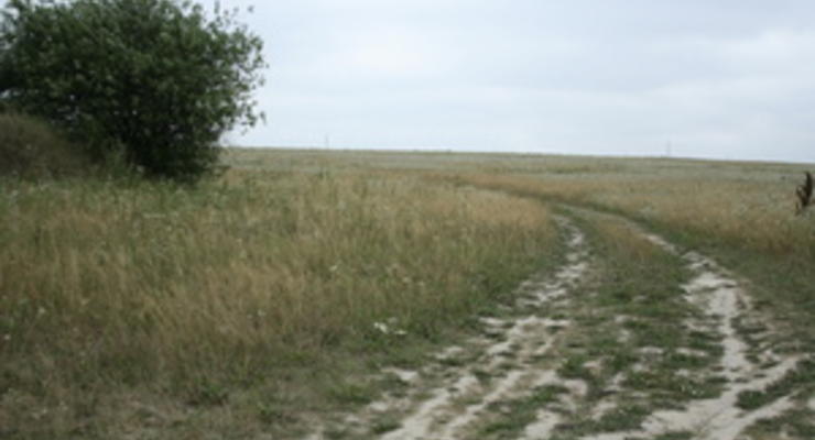 В Крыму пустует 144 тысячи гектаров сельскохозяйственной земли