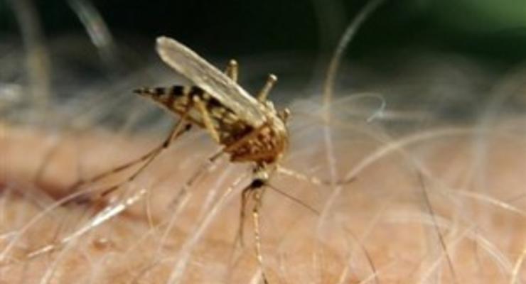 На берегу Днепра арендовали 16 гектаров "для изучения полета комаров"