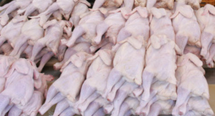 Крупнейший в Украине производитель курятины увеличил чистую прибыль в 30 раз