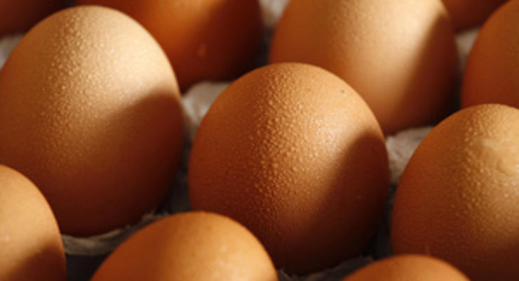 Крупнейший украинский производитель яиц проведет IPO