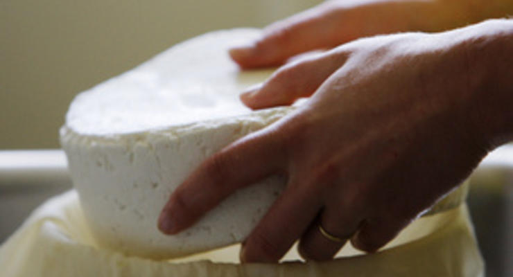 В киевских магазинах продавали сыр из молока коров, больных лейкозом