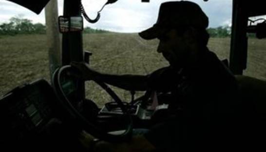 Минагрополитики призвывает зернотрейдеров принять участие в выращивании зерна