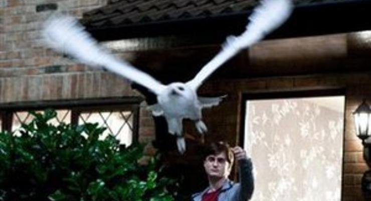 В США похитили редкий экземпляр книги о Гарри Поттере