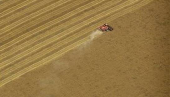 Ъ: Власти отказались от аукционов по продаже квот на экспорт зерна