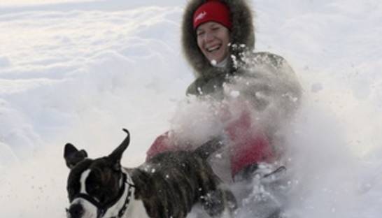 Прогноз погоды на понедельник, 6 декабря