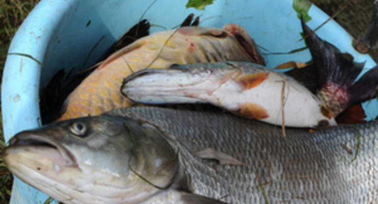 Суд обязал компанию Ахметова вернуть Мариупольский рыбный порт государству