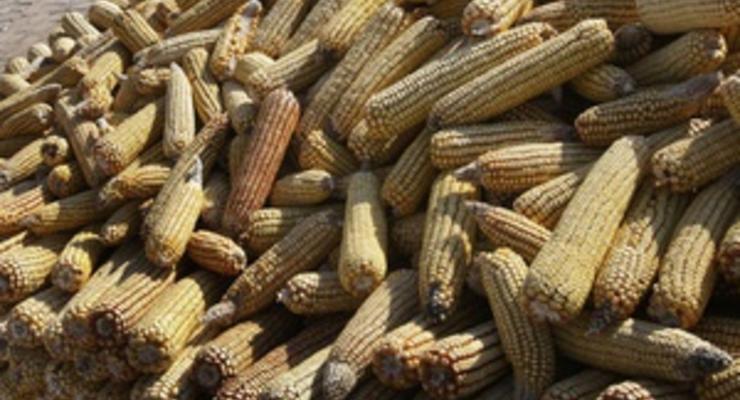 Кабмин может снять квоты на экспорт кукурузы