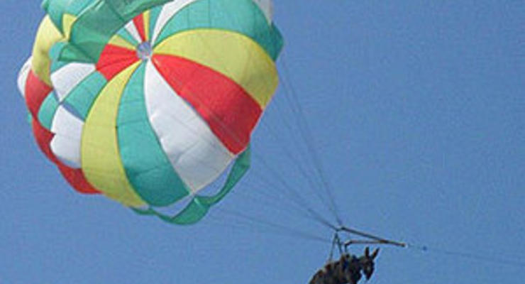 В Москве умерла ослица, которая летала на парашюте над Азовским морем
