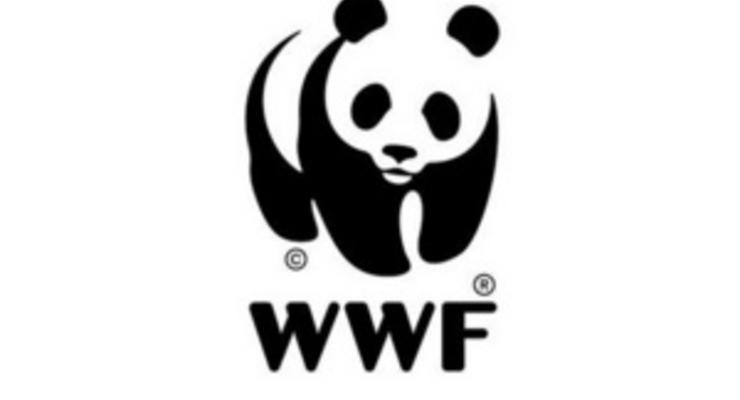 WWF: К  2050 году мир может быть обеспечен чистой возобновляемой энергией