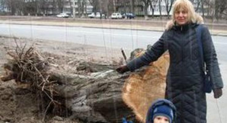 В Киеве сильный ветер повалил сотни деревьев