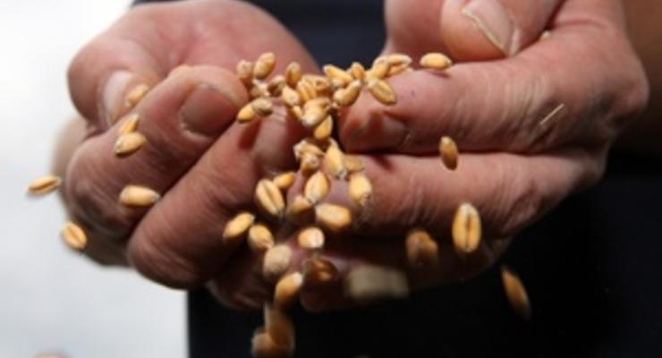Украина резко нарастила экспорт зерна в начале февраля