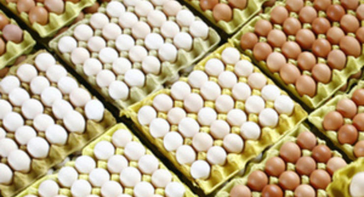 В январе Украина значительно увеличила производство мяса и яиц, сократив выпуск молока