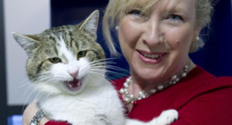Британский премьер завел кота для охоты за крысами на Даунинг-стрит