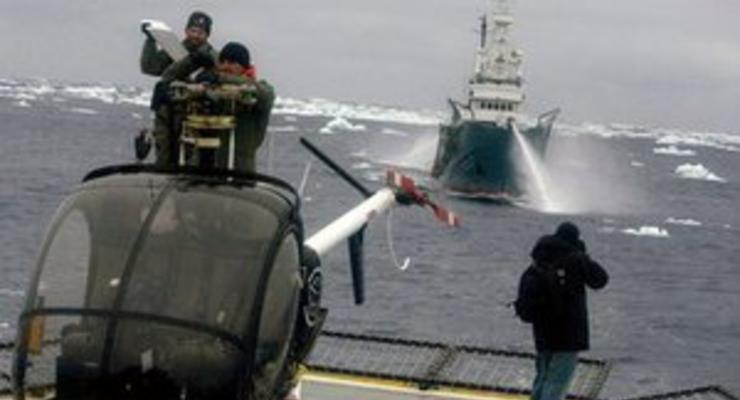 Экологи вынудили Японию приостановить промысел китов в Антарктике