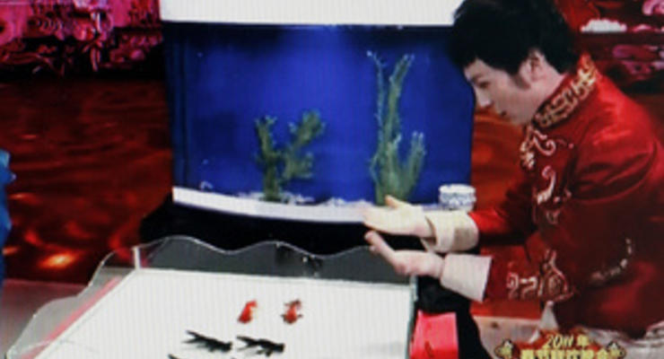 Китайские защитники природы осудили фокус с танцующими рыбками