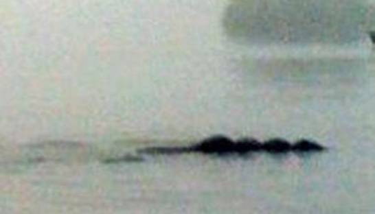 СМИ: Туристы обнаружили в британском озере неизвестное чудовище