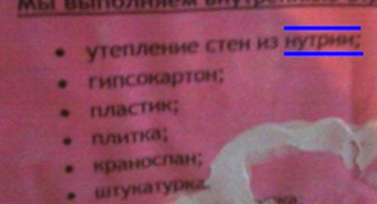 В Донецке предлагают услугу "утепления стен из нутрии"