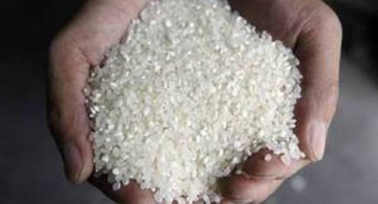 Россия потеснила Египет на рынке мелкозернистого риса