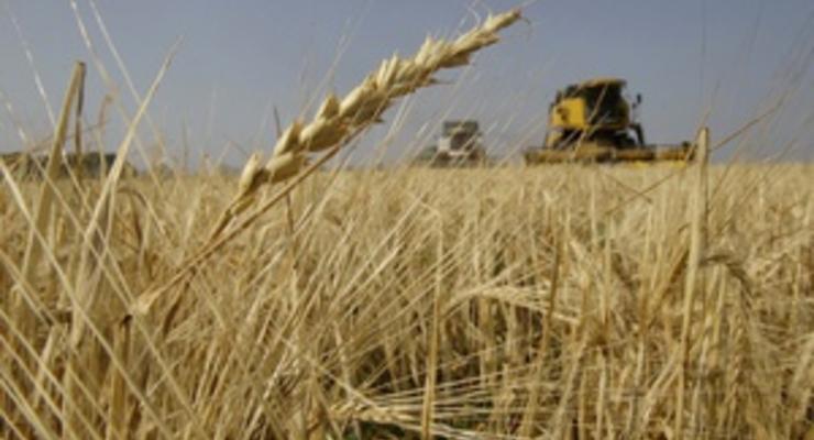 За год цены на зерновые выросли на 50-100%
