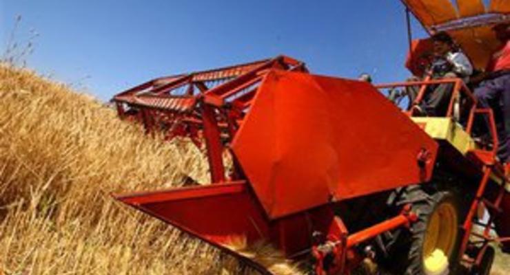Эксперты считают, что украинские фермеры должны продавать зерно без посредников