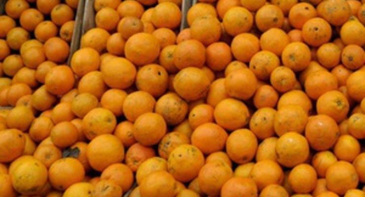 В итальянском городе Ивреа начались апельсиновые сражения