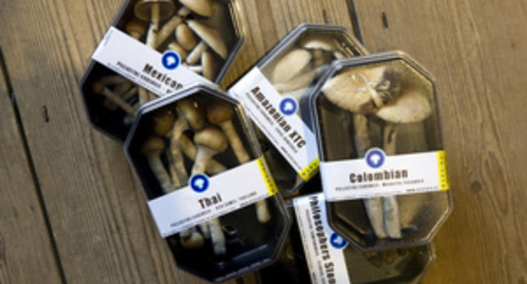 Ученые: Европейцы употребляли галлюциногенные грибы еще шесть тысяч лет назад
