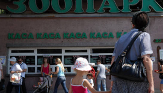 Против экс-руководства Киевского зоопарка возбудили уголовные дела