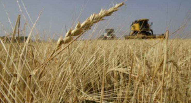 Дело: В Украине сформировались рекордные переходящие остатки зерна