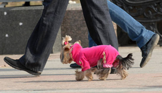 Прогноз погоды на воскресенье, 3 апреля