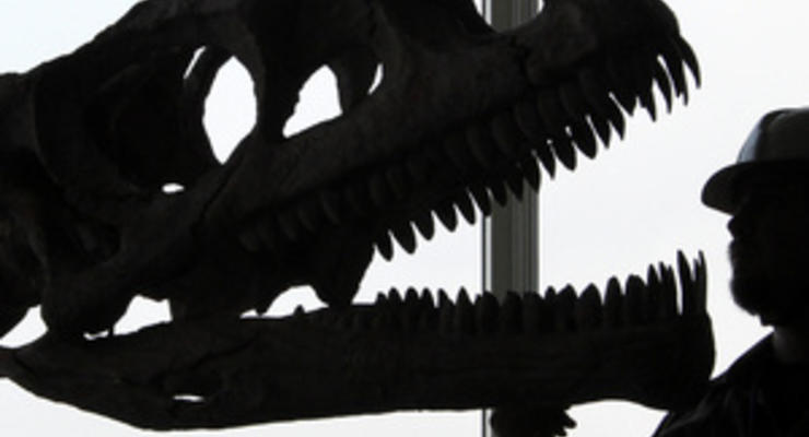 В Китае обнаружили останки неизвестного сородича тираннозавра