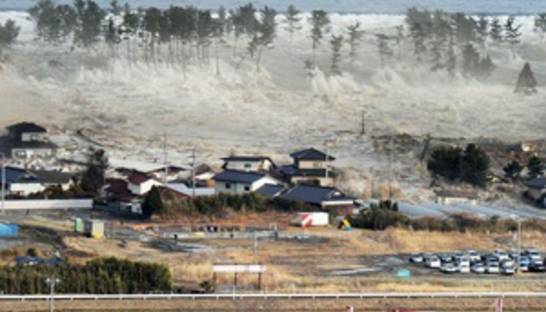 В Японии назвали число иностранцев, погибших при землетрясении и цунами