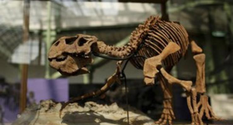 Ученые: Динозавры страдали от вшей