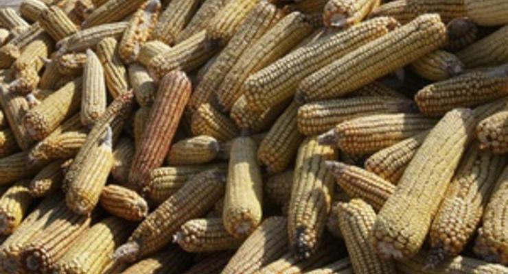 Украина может отменить экспортные квоты на кукурузу